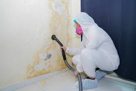 Best Real Estate Mold Inspection  in Del Aire, CA